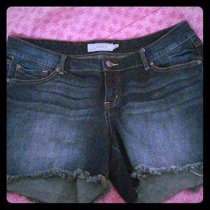 Size 18 Torrid shorts